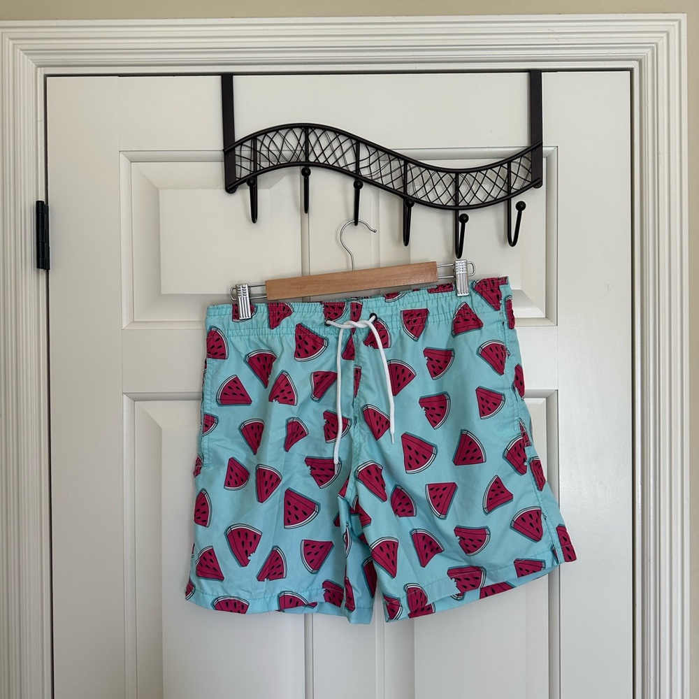 Men's Aqua Watermelon Print Swim Trunks with Drawstring